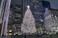 Nyu-Yorkda dünyanın ən böyük Milad ağacı işıqlandırılıb