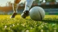 Azərbaycanda yeni futbol klubu yaradıldı 
