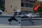 Uşaqlar yolu idman zalına çevirdi, valideynləri polisə çağırıldı - (Video)