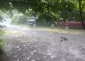 Küləkli və yağışlı hava bu tarixədək davam edəcək - Xəbərdarlıq