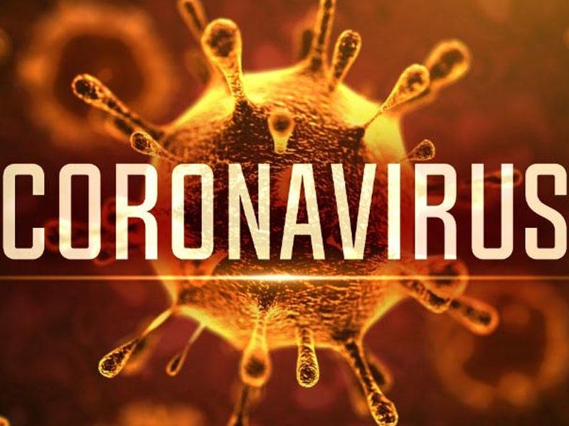 Koronavirusun bir məqsədi var: tez bir xəstədən digər insana keçsin-  Professor