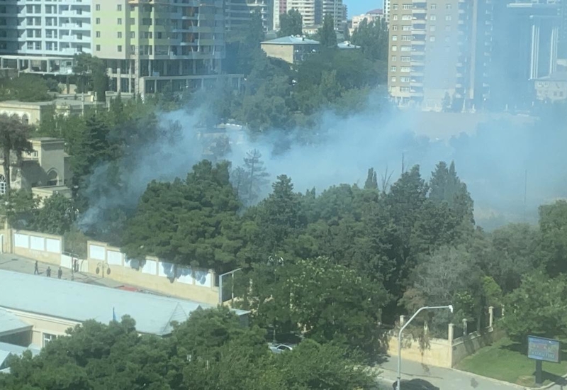 Bakıda parkdakı yanğın söndürüldü - YENİLƏNİB - VİDEO - FOTO