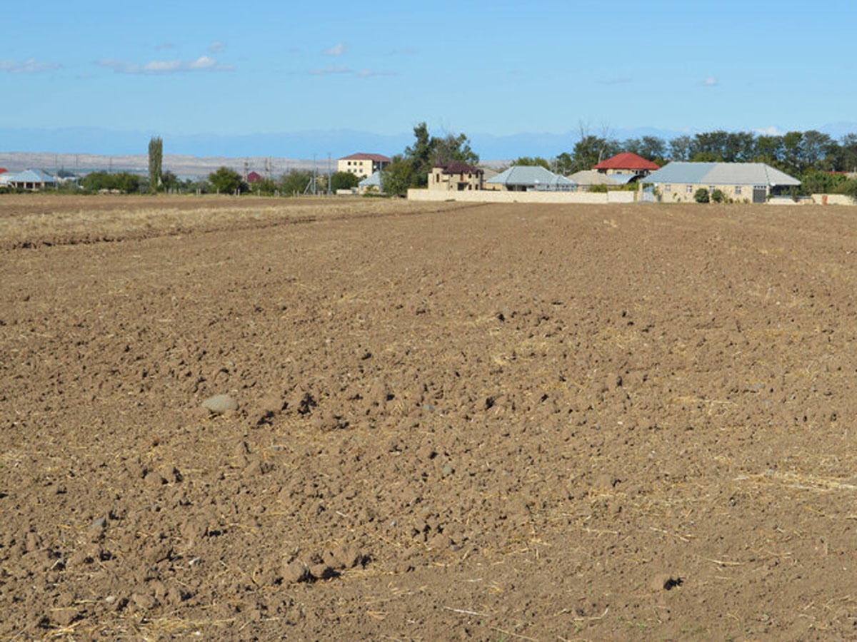 Azərbaycanda 500 min hektara qədər torpaq sahəsinin şoranlaşma təhlükəsi yaranıb