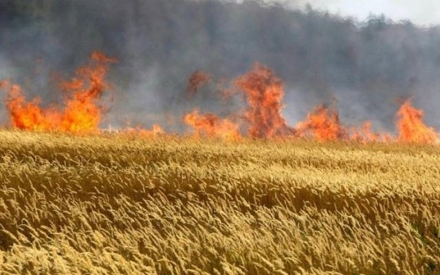 Ot tayalarında baş verən yanğınla bağlı araşdırılma aparılır