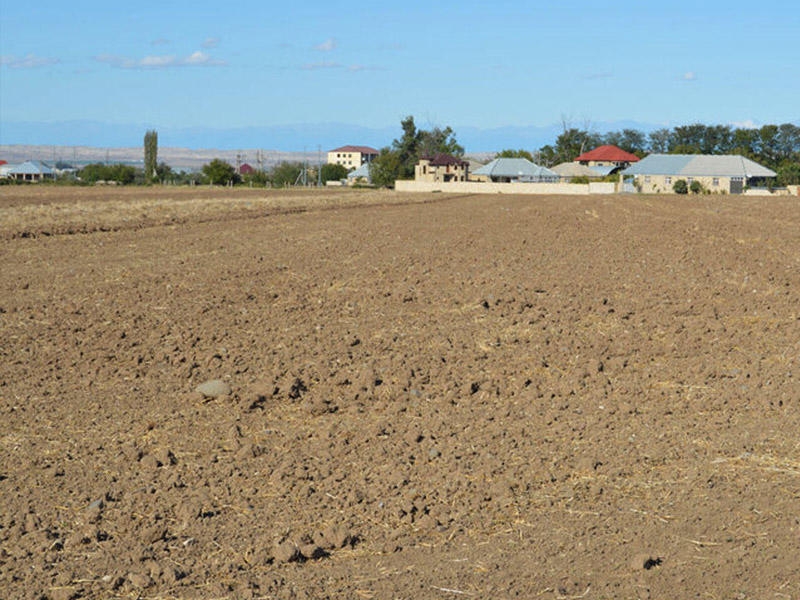 Bakıda torpaq sahələri bahalaşıb