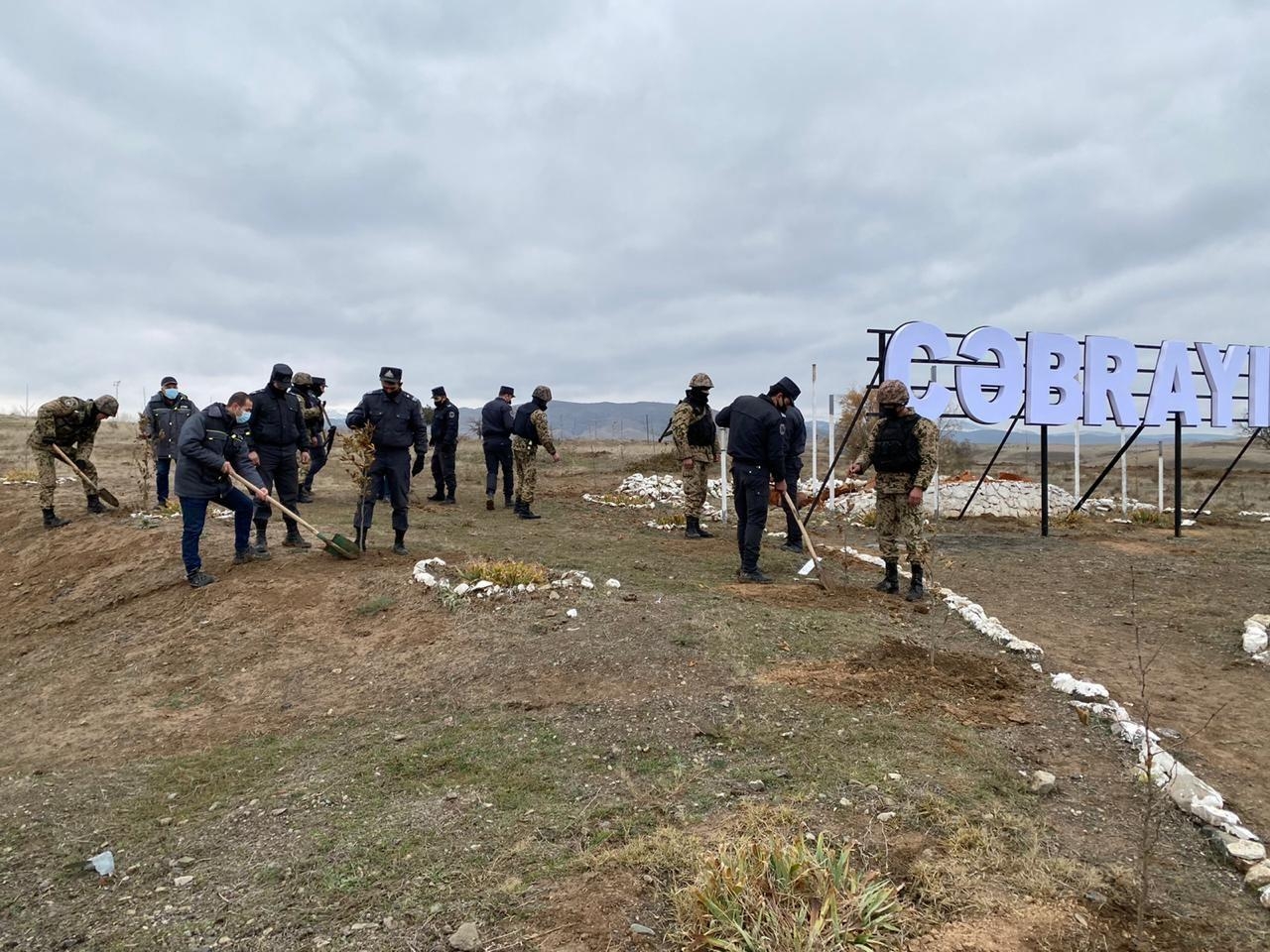 Cəbrayılda Heydər Əliyevin anım günü ilə bağlı ağacəkmə aksiyası keçirilib - FOTO