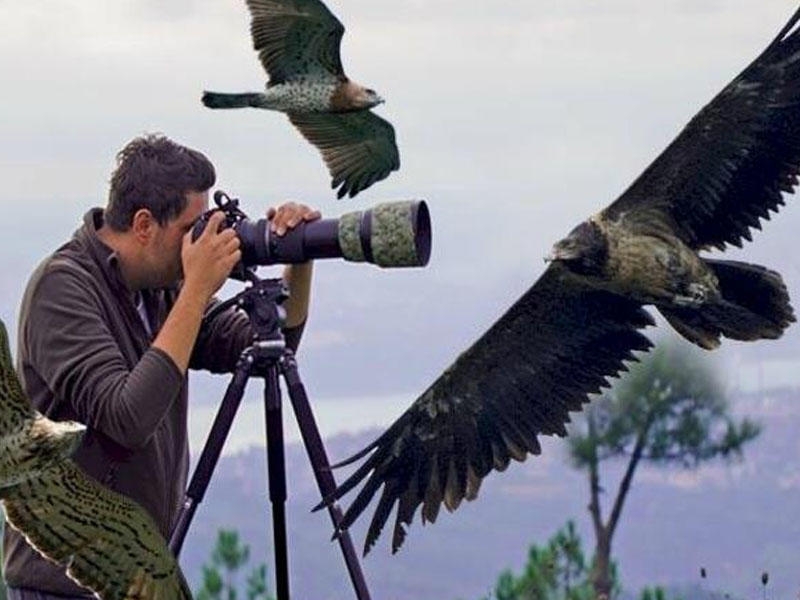 Quşları çəkən fotoqraf 9 milyonluq sərvət tapdı - FOTO