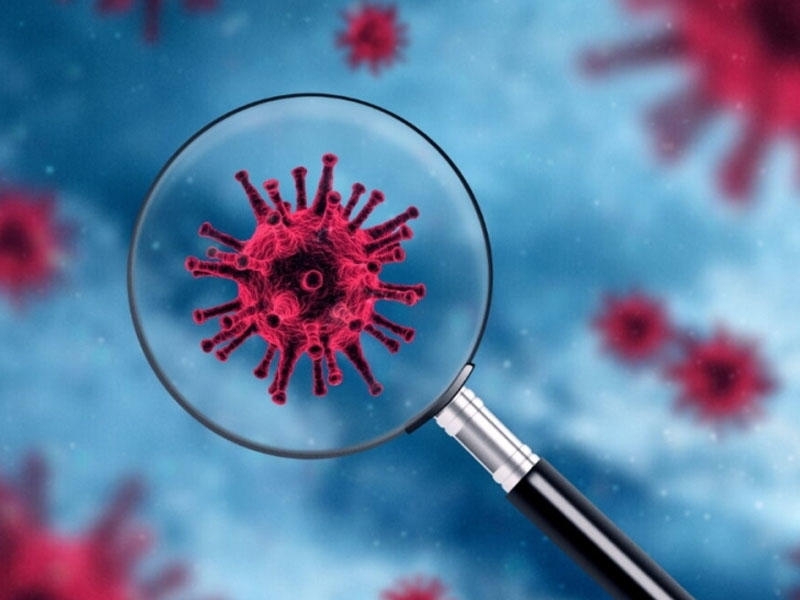 Koronavirusun 