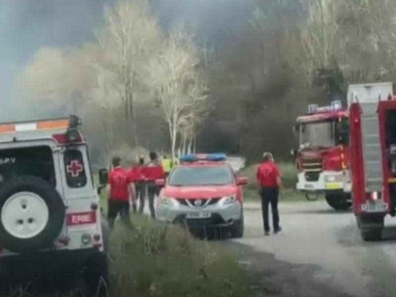 İspaniya və Fransa arasında meşə yanğınları başladı - FOTO