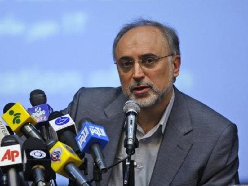 Əgər əmr verilsə, 24 saat ərzində... -  Salehi