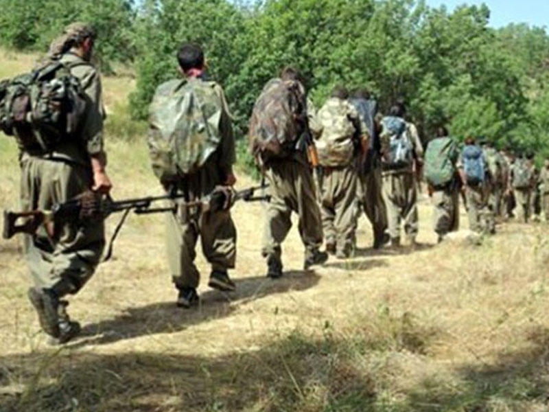 Türkiyəyə daxil olmaq istəyən 5 PKK-çı saxlanıldı