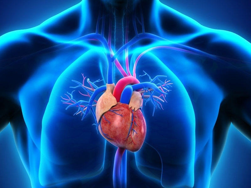 Simptomatik arterial hipertoniyalar