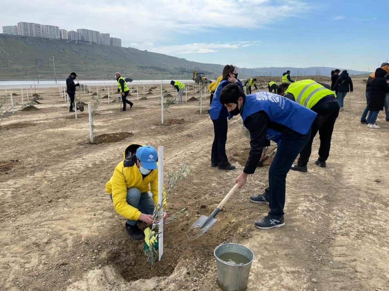 21 mart - Beynəlxalq meşələr günüdür - FOTO