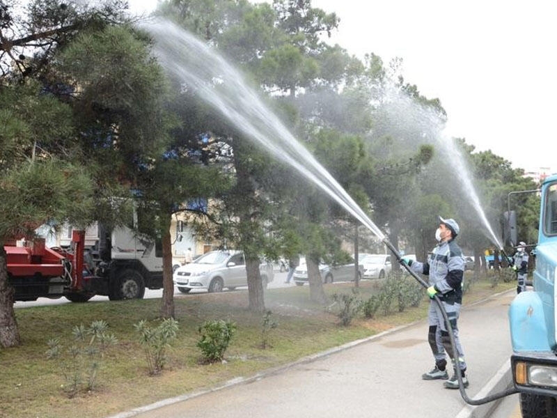 Bakıda yaşıllıqlara belə qulluq göstərilir - FOTO