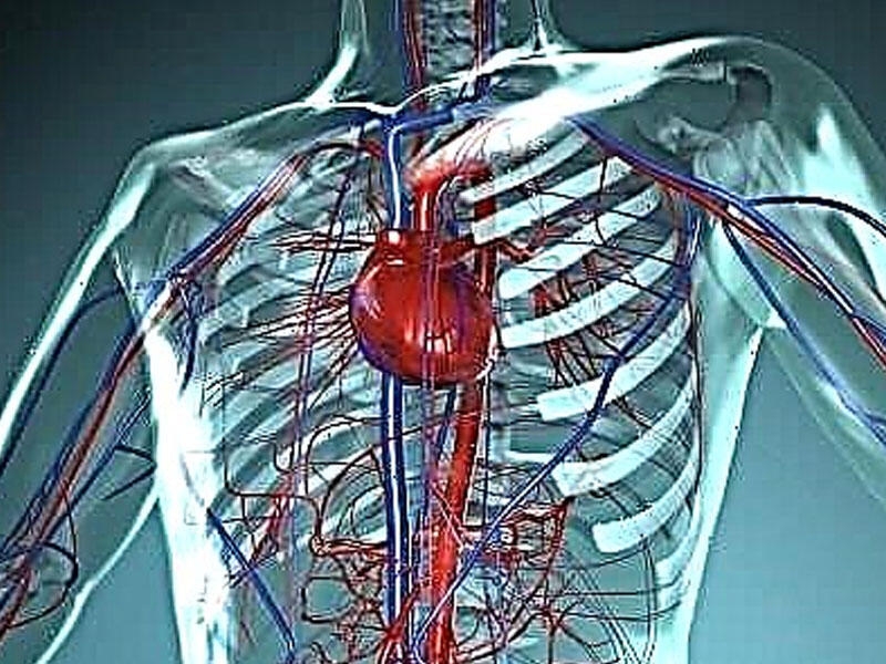 Sinir sisteminin damar xəstəlikləri