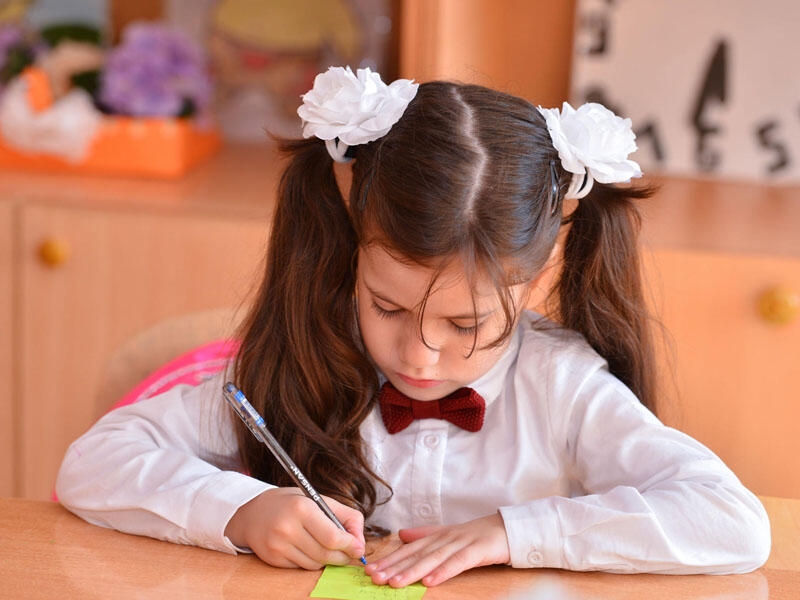 I sinfə qəbul üzrə elektron portalın fəaliyyəti yenidən aktivləşib