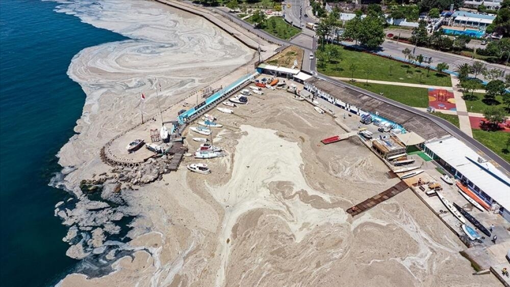 Türkiyədə ən böyük dəniztəmizləmə səfərbərliyi davam edir