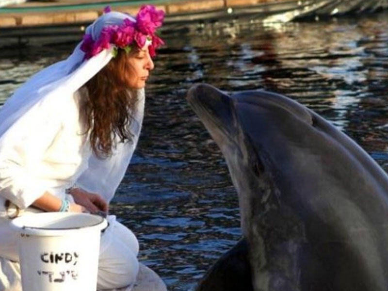 Milyoner qadın delfinlə evləndi, bir neçə ay sonra delfin öldü, qadın dul qadı - FOTOlar