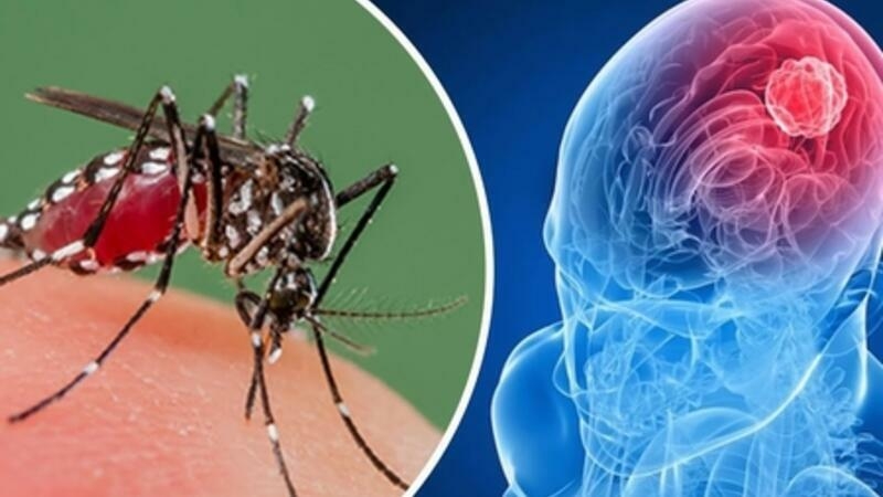 Hindistanda indi də “Zika” kabusu yaşanır – Peyvəndi və müalicəsi yoxdur