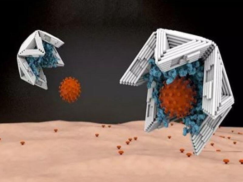 Alimlər virusları tələyə sala biləcək nanokapsulalar hazırlayıb