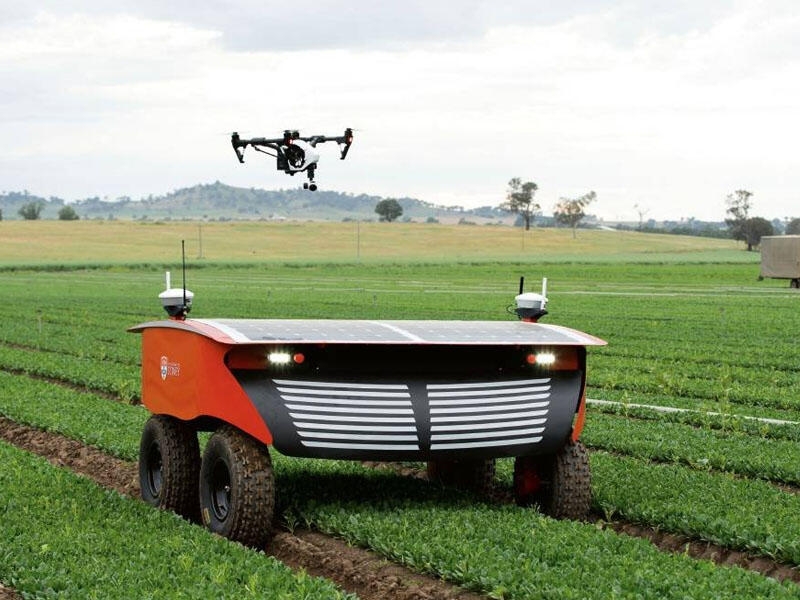 Avstraliyada süni zəka və robotlar tərəfindən idarə olunacaq ferma yaradılır