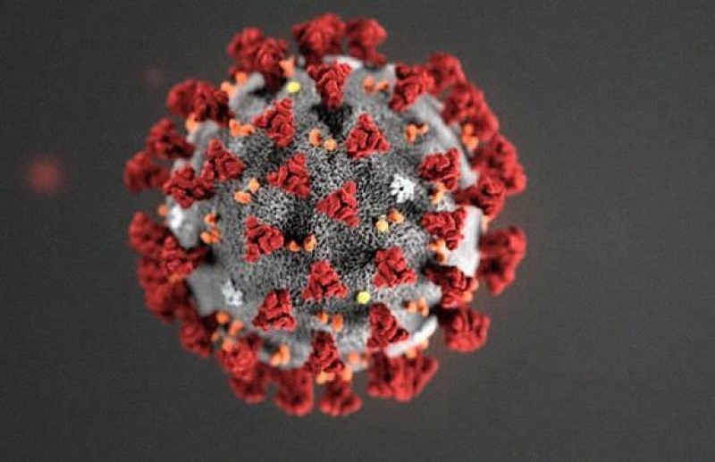 Koronavirusun ölümcül ştammı yarana bilər