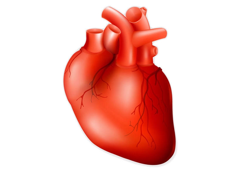 Koronar arteriyaların aterosklerozu