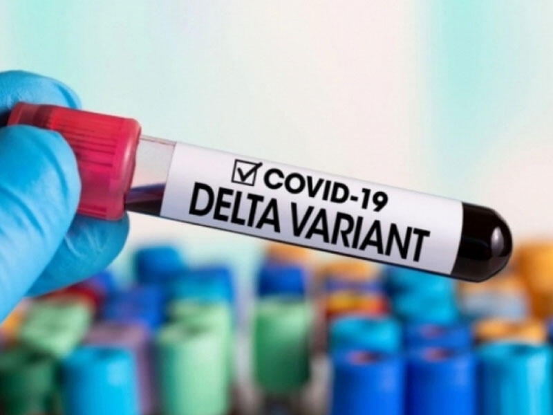 Həkim-infeksionist: “Delta” ştamının klinik gedişatı vətəndaşlar arasında çaşqınlıq yaradır