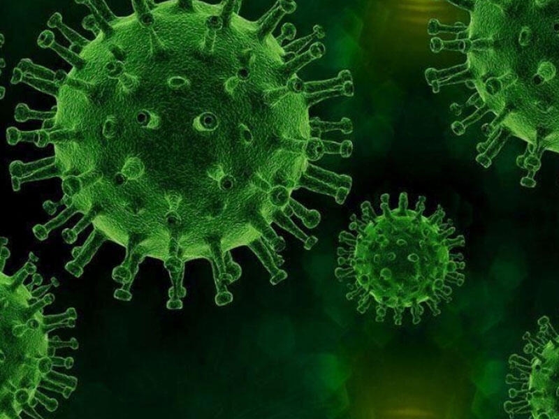 Musa Qəniyev: COVID-19 digər virusların hüceyrələrə daxil olması prosesini sürətləndirir