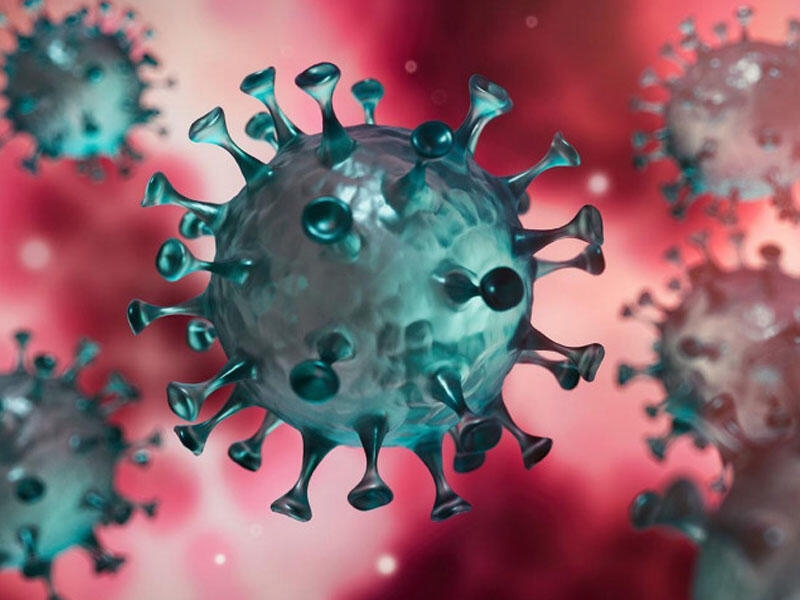 “İnsanları öldürən koronavirus deyil” - Professordan ŞOK İDDİA