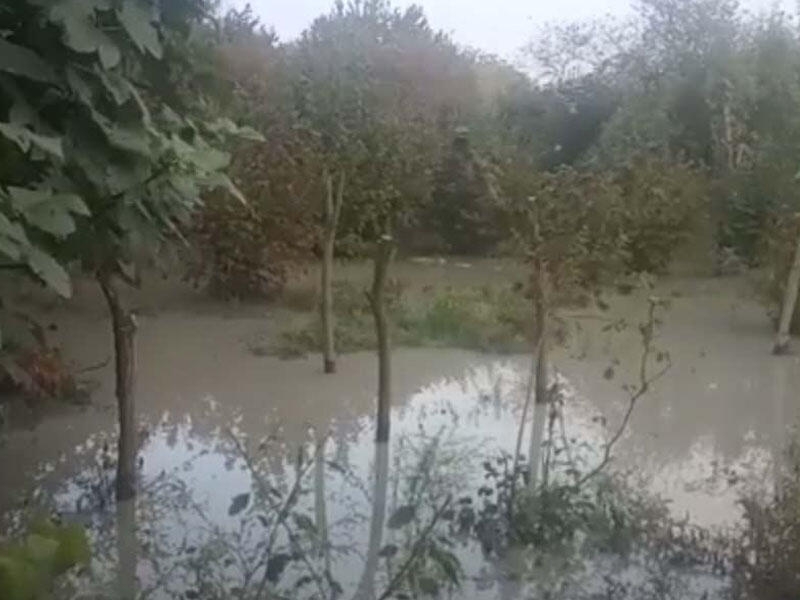 Balakənin su basmış iki kədində fəsadlar aradan qaldırılır - VİDEO