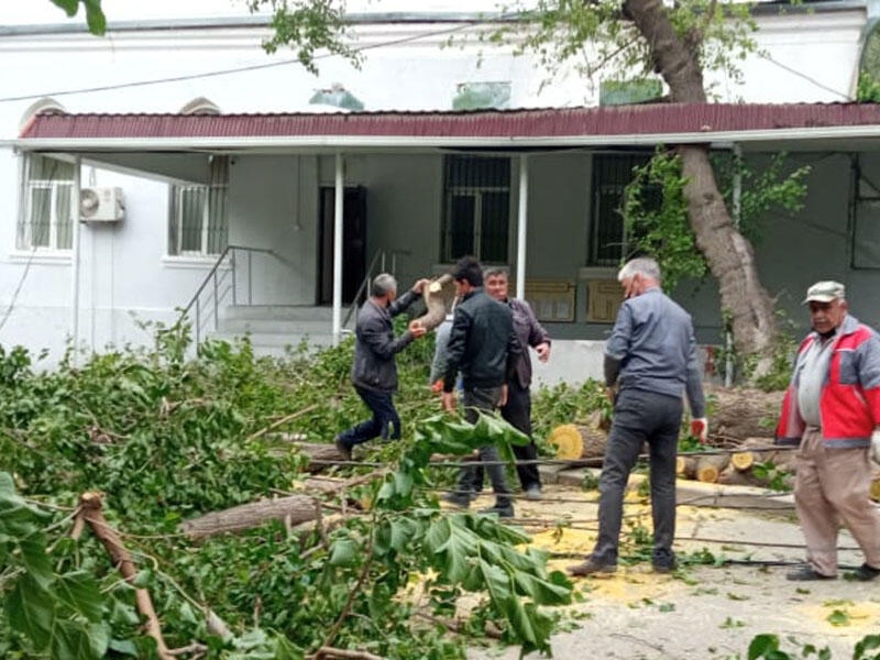 Bakıda küləyin fəsadlarından 11 nəfər xəsarət alıb