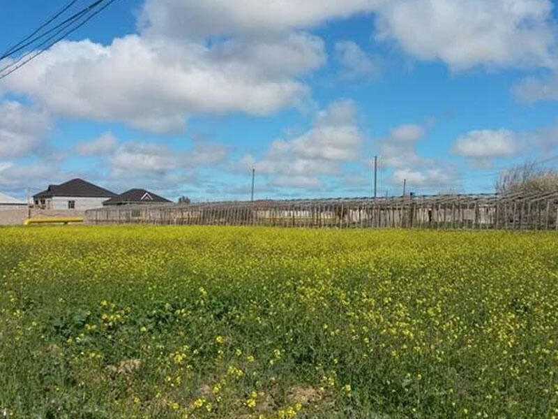 Regionlarda yaşayış və torpaq sahələrinin satışı üzrə vergi yükü azaldılır