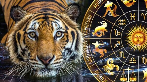 2022 üçün astroloji proqnoz – Bürcləri nələr gözləyir?