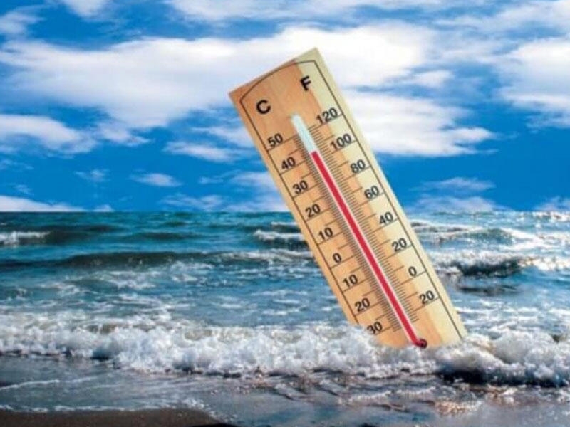 2021-ci ildə okeanların temperaturu rekord səviyyəyə çatıb