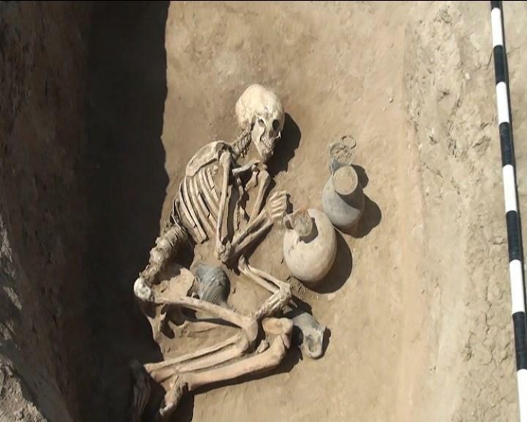 Goranboyda eradan əvvələ aid insan skeletləri aşkarlandı  - FOTO