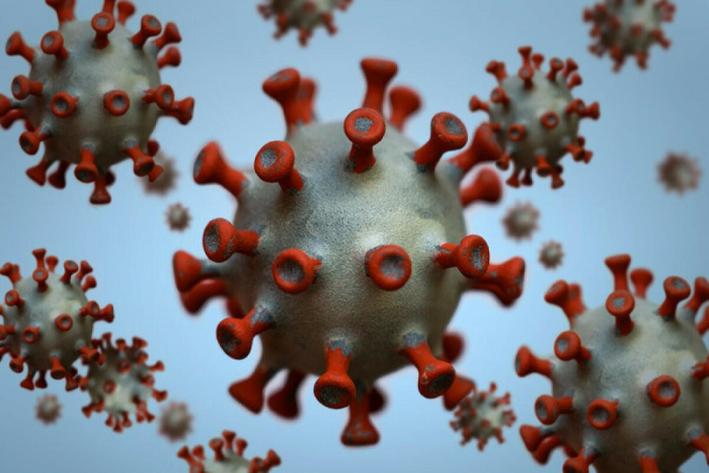Yeni növ koronavirus ABŞ-dakı laboratoriyalarda hazırlanıb? - Amerikalı tədqiqatçıdan şok