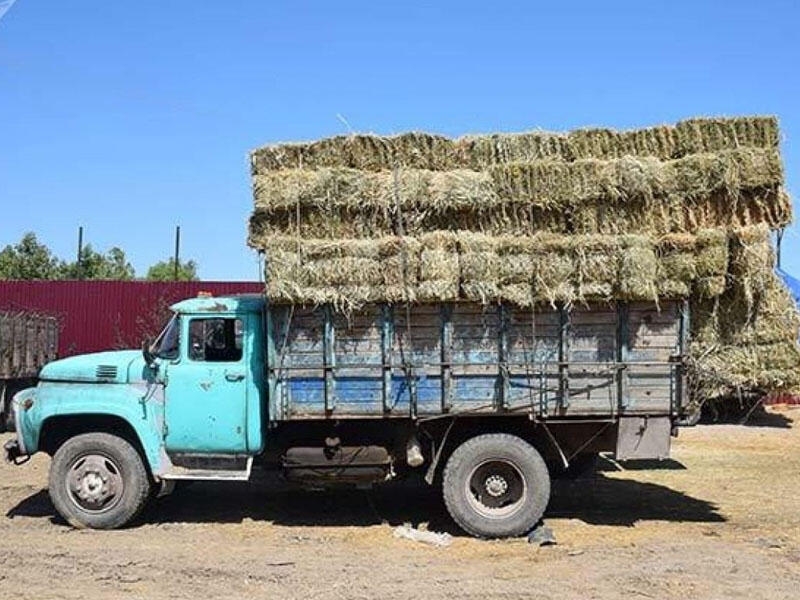 DYP ot daşıyan sürücülərə müraciət edib