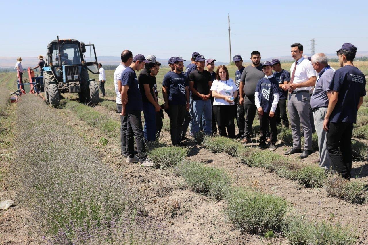 “Gənclərin biznes emalatxanası” layihəsinin iştirakçıları lavanda təsərrüfatında olublar - FOTO