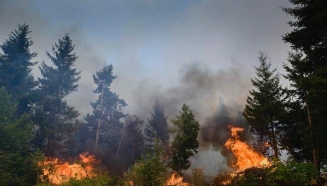 Meşə yanğınların söndürülməsi işləri davam etdirilir: amfibiya təyyarəsi, 2 helikopter cəlb olunub