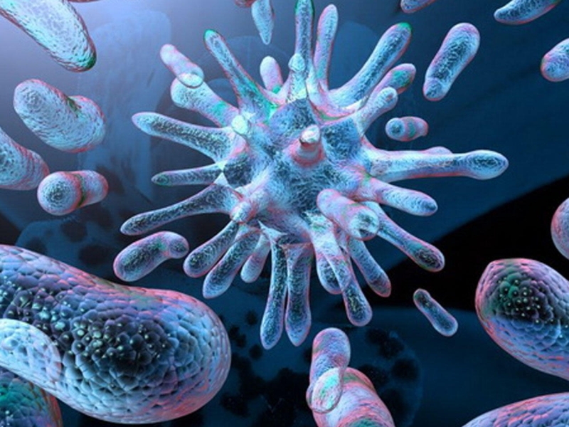 Helicobacter Pylori haqqında 5 faktHəkimlərin qorxduğu ən konserogen bakteriya