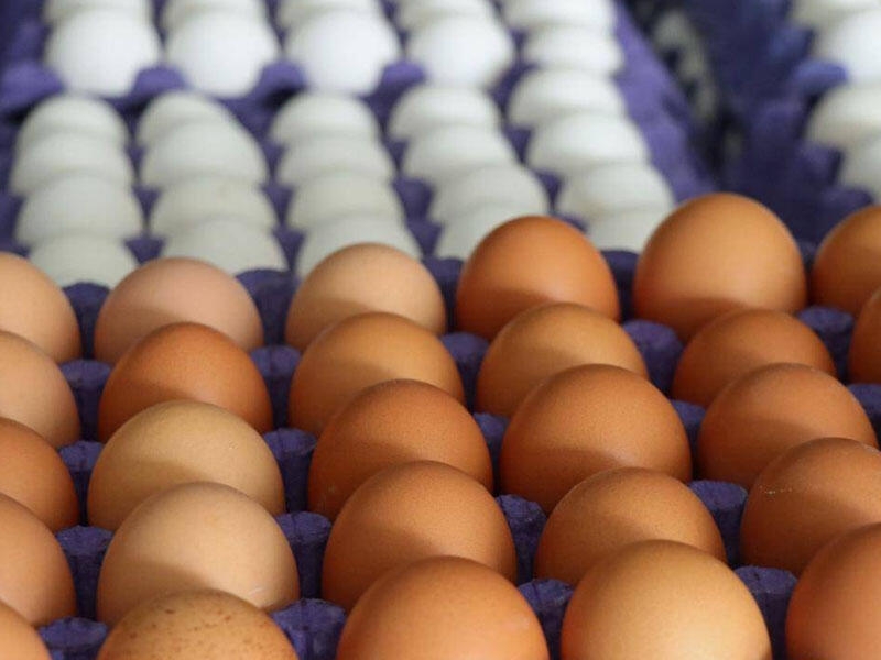 Tonlarla yumurta satışdan yığışdırılır - Alıcılara XƏBƏRDARLIQ