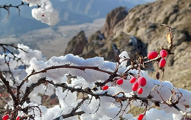 Azərbaycanın bu rayonlarına qar yağır