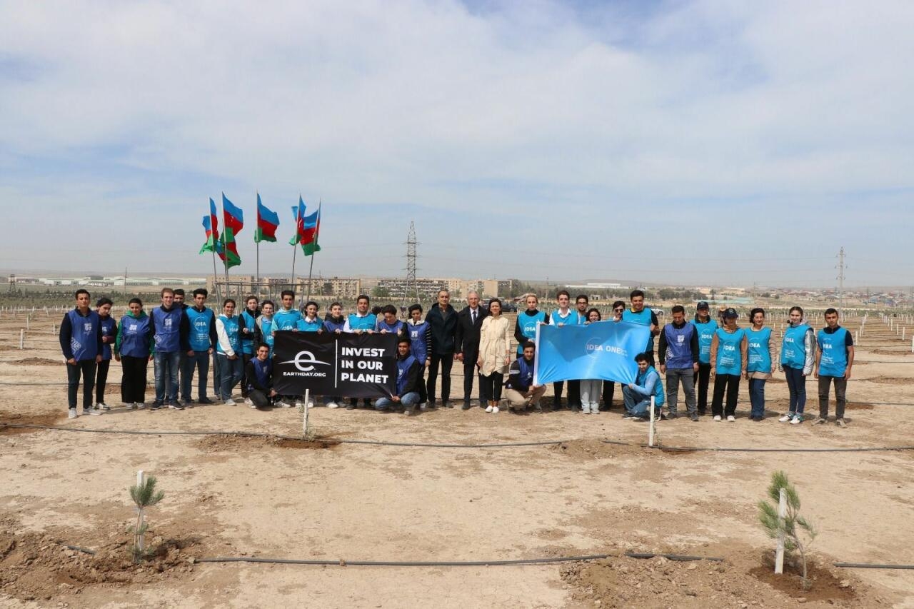 ''Beynəlxalq Yer Günü” ilə bağlı kütləvi ağacəkmə aksiyası keçirilib - FOTO