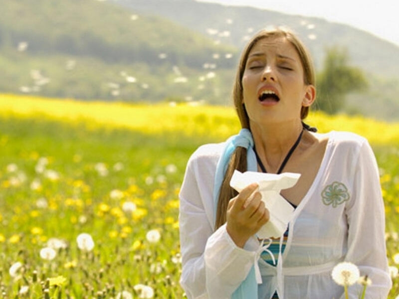 Allergiya ilə necə mübarizə aparmalısınız?