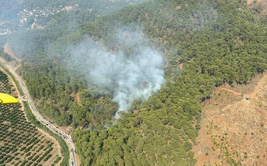 Muğla bölgəsində yenidən meşə yanğını başladı