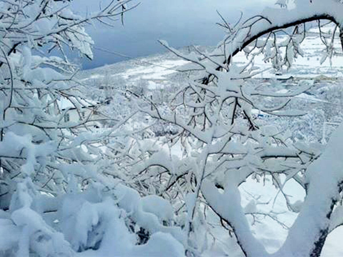 Azərbaycana qar yağıb