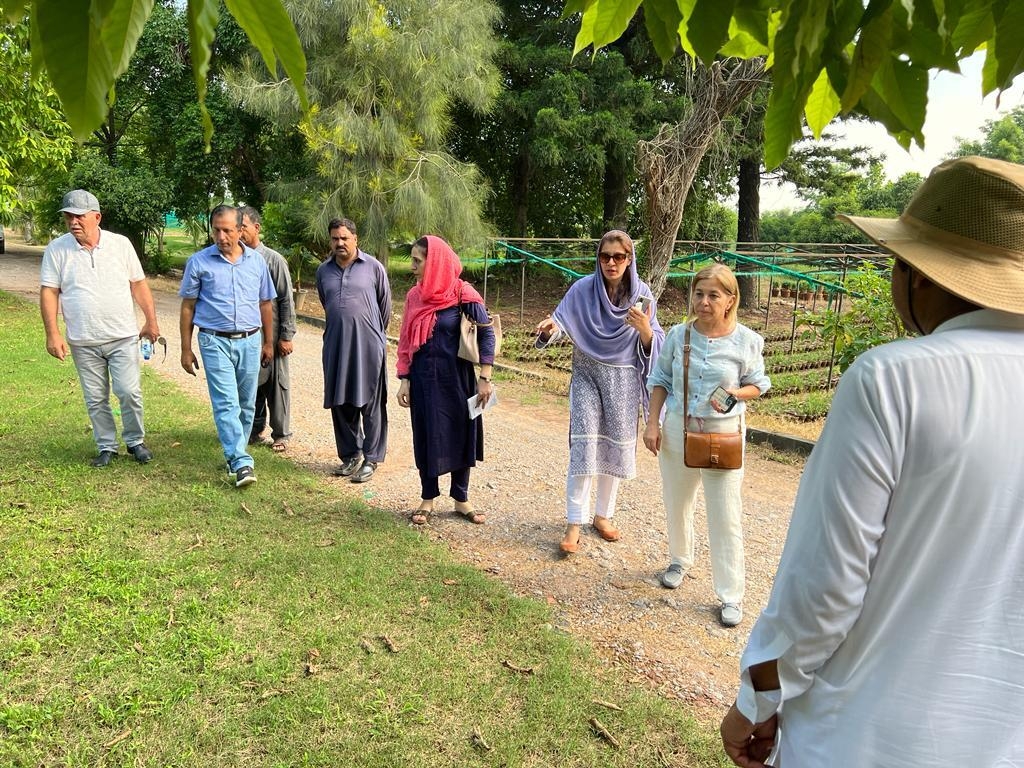 Bakının yaşıllıq və landşaft dizaynı təcrübəsinin Pakistanda tətbiqinə başlanılıb - FOTO