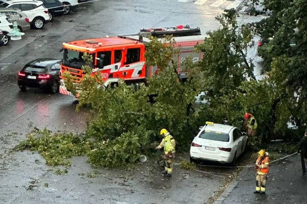 Fırtına səbəbindən 44 min ev işıqsız qalıb - FOTOlar