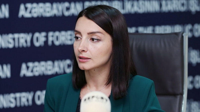 ''Fransa bunlardan əl çəkməlidir'' - Abdullayeva
